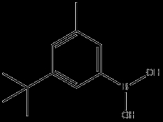 (3-T-Butyl-5-Methylphenyl)Boronic Acid